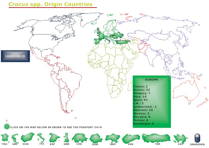 Crocus spp. Origin Countries