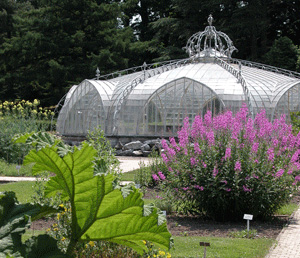 National Bptanical Garden of Belgium