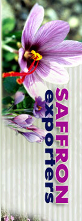 By www.saffron-exporters.com